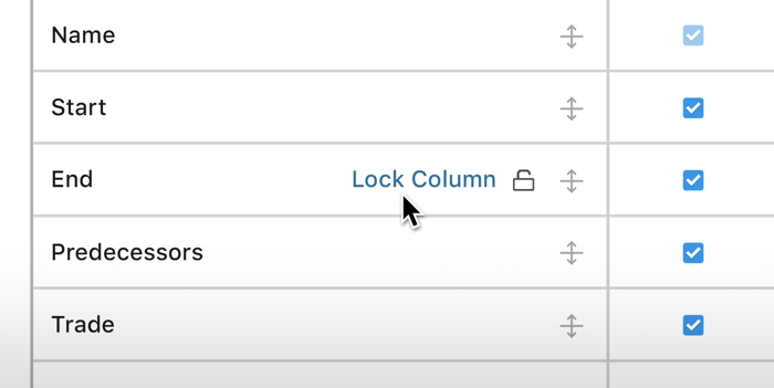 Keep Key Task Data Visible with New Column Lock Feature for Construction Schedules